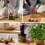 Блендер занурюваний BOSCH MSM4B621 Зображення