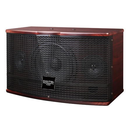 Акустична система DIGITAL DPA-8120С Зображення