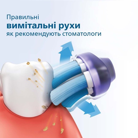 Зубна електрощітка Philips HX3671/11 Gemini 3100 Rose (6741356) Изображение