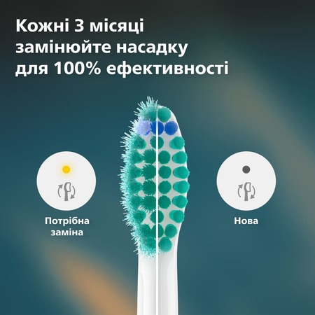 Насадка для зубної щітки Philips HX6014/87 ProResults (4 шт) (7086860) Зображення