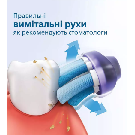 Зубна електрощітка Philips HX3675/15 (6912261) Изображение