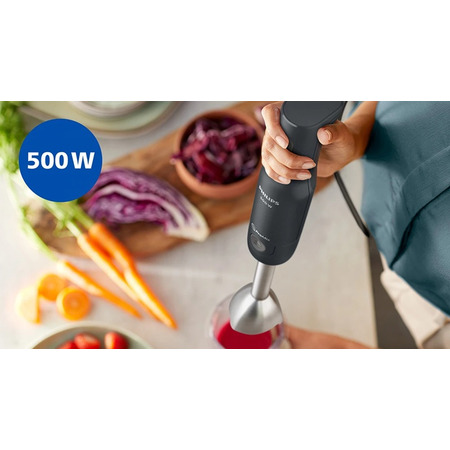 Занурювальний блендер Philips HR2522/00 (7179876) Зображення