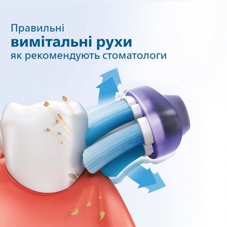 Зубна електрощітка Philips HX3651/13 Gemini 2100 White (6741335) Изображение