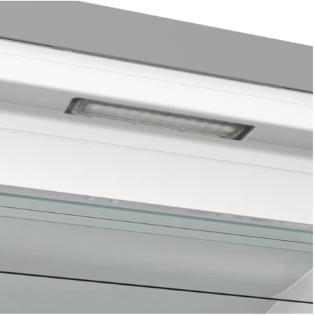 Морозильна камера Gorenje FN 619 EAXL6 (ZOF3168SED) (6823376) Зображення