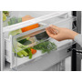 Холодильник Electrolux LNT5ME36U1 (7205164) Изображение