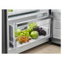 Холодильник Electrolux RRC5ME38X2 (6676546) Изображение