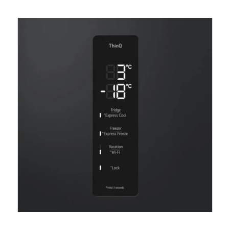 Холодильник LG GC-B509FTZW Изображение