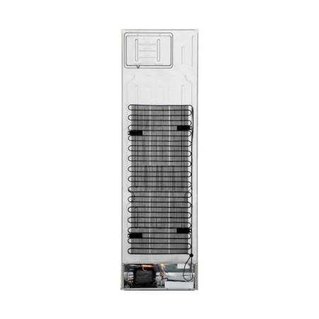Холодильник LG GC-B509FEMW Изображение