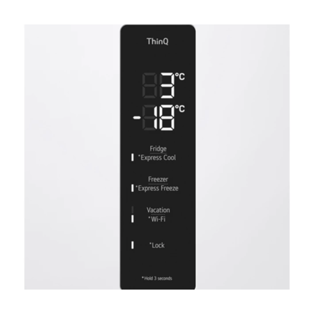 Холодильник LG GW-B509FVFW Изображение