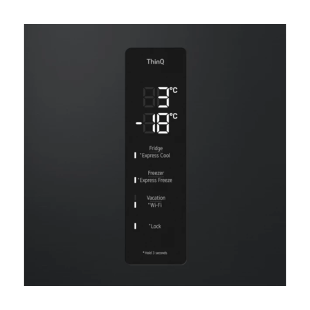Холодильник LG GW-B509FXFW Изображение