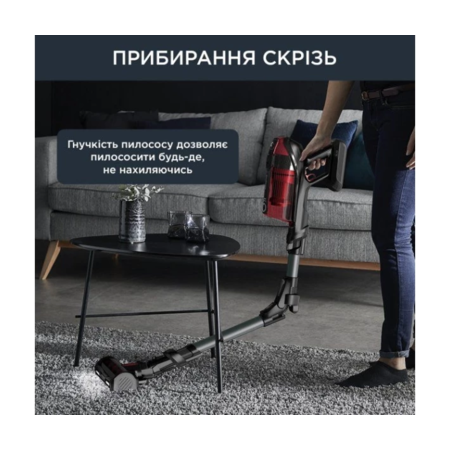 Аккумуляторний пілосос Rowenta X-Force Flex 12.60 Auto Animal RH98A9WO Изображение