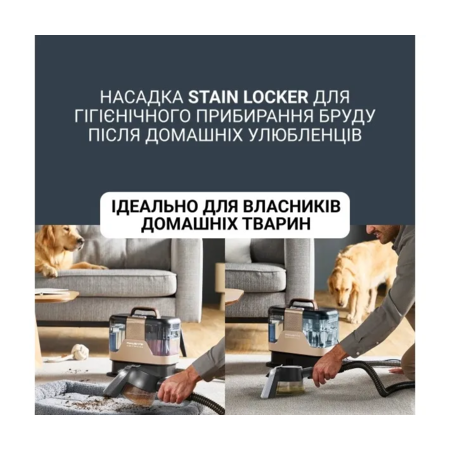 Мийний пилосос-плямовивідник Rowenta Clean It Hot & Cold IN7021F0 ( 28793 ) Зображення