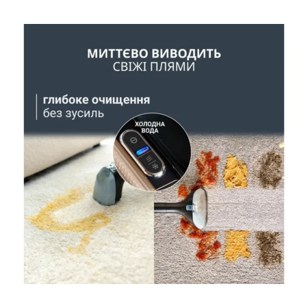 Мийний пилосос-плямовивідник Rowenta Clean It Hot & Cold IN7021F0 ( 28793 ) Зображення