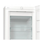 Морозильна камера Gorenje FN619EEW5 Зображення
