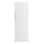 Морозильна камера Beko RFNE290L21W Изображение