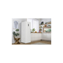 Морозильна камера Gorenje FNP619EAW6L Зображення