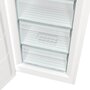 Морозильна камера Gorenje FNP619EEW5L Зображення
