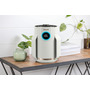 Очищувач повітря Shark NeverChange5 Air Purifier Compact Pro HP072EU Изображение