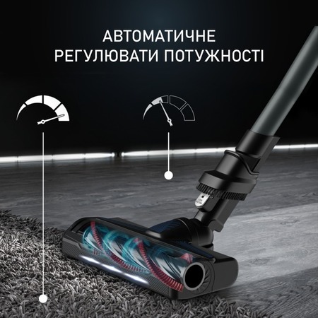 Акумуляторний миючий пилосос Rowenta X-Force 9.6 Aqua Alnimal (RH20C7WO) Изображение