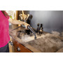 Пароочисник Karcher SC 4 Deluxe Iron (1.513-462.0) Изображение