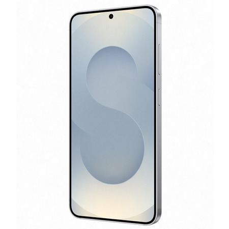 Смартфон Samsung Galaxy S25 12/512GB Silver Shadow (SM-S931BZSHEUC) Изображение