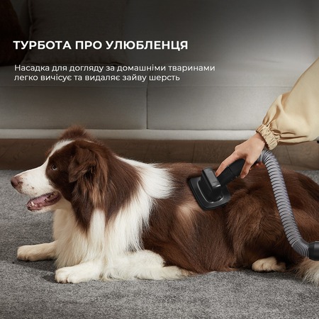 Акумуляторний пилосос Dreame Z30 Animal (VZV17A) Изображение