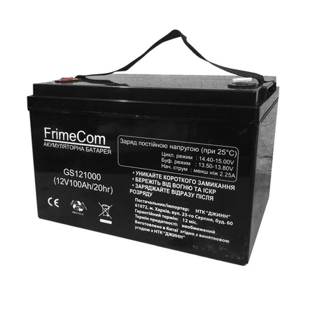 Акумуляторна батарея FrimeCom 12V 100AH (GS121000) AGM Зображення
