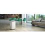 Осушувач повітря Olimpia Splendid Aquaria S1 20 P (OS-2064) Зображення