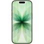 Смартфон Apple iPhone 17 256GB Sage (MG6N4AF/A) Зображення