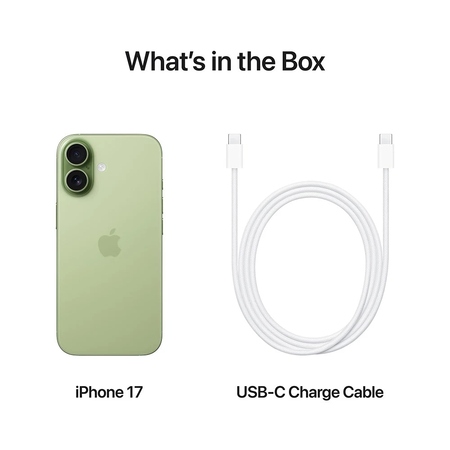 Смартфон Apple iPhone 17 256GB Sage (MG6N4AF/A) Зображення
