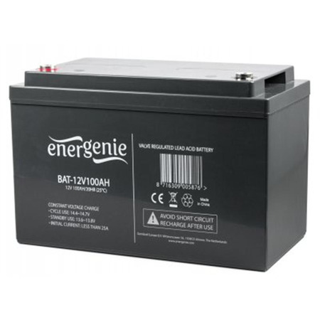 Акумуляторна батарея EnerGenie 12В 100AH (BAT-12V100AH) AGM Зображення
