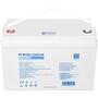 Акумуляторна батарея Prologix 12.8V 100AH 1280Wh (PLFP12-100) LiFePO4 Зображення