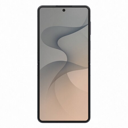 Смартфон Samsung Galaxy Flip8 F776B 12/256GB Graphite (SM-F776BZKGSEK) Зображення