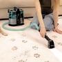 Миючий пилосос Cecotec Conga 6000 Carpet&Spot Clean XL (A01_EU01_122354) Зображення