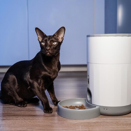 Автоматична годівниця Petoneer FDW050 Nutri Vision Mini з Wi-Fi, двосторонньою камерою та динаміком (2,6 л) — смарт годівниця для домашніх тварин Изображение