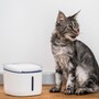 Автоматична поїлка Petoneer Fresco Mini Plus Fountain Wi-Fi (WF004), 1.9 л, для тварин Изображение