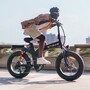 Електровелосипед фетбайк Engwe X-20 Dual Batteries (750 Вт; 14,4 А*год+7,8 А*год; 48 В), колеса 20х4", з ручкою газу, сірий Изображение