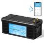 Акумулятор Kepworth LiFePO4 24V/100AH (2560W*h), Smart BMS,Bluetooth APP (літій-залізо-фосфатний акумулятор для ДБЖ (UPS)) Изображение