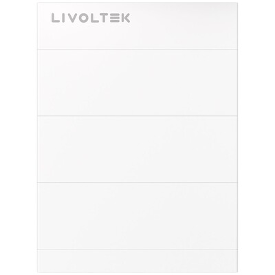 Акумулятор Livoltek BHF-S25.6 512V/50AH, 25600W*h, 25A/48А, 5xBHF-B10250, LiFePO4 (HV Battery System, літій-залізо-фосфатний акумулятор для ДБЖ (UPS)) Изображение