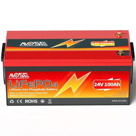 Акумулятор MOSEWORTH LiFePO4 24V/100AH (2400W*h) (літій-залізо-фосфатний акумулятор для ДБЖ (UPS)) Зображення