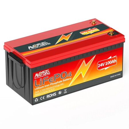 Акумулятор MOSEWORTH LiFePO4 24V/100AH (2400W*h) (літій-залізо-фосфатний акумулятор для ДБЖ (UPS)) Изображение