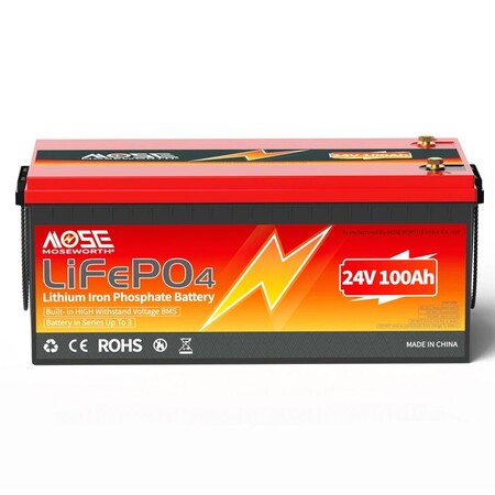 Акумулятор MOSEWORTH LiFePO4 24V/100AH (2400W*h) (літій-залізо-фосфатний акумулятор для ДБЖ (UPS)) Изображение