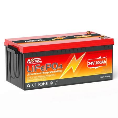 Акумулятор MOSEWORTH LiFePO4 24V/100AH (2400W*h) (літій-залізо-фосфатний акумулятор для ДБЖ (UPS)) Изображение