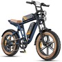 Електровелосипед Engwe M20 2.0 Dual Battety (750 Вт, 31,2 А*год, 52 В), колеса 20", синій Изображение