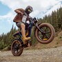 Електровелосипед Engwe M20 2.0 Dual Battety (750 Вт, 31,2 А*год, 52 В), колеса 20", синій Изображение