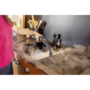 Пароочисник Karcher SC 4 Deluxe (1.513-460.0) Зображення