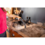 Пароочисник Karcher SC 4 Deluxe Iron 1.513-462.0 Зображення