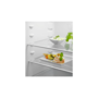 Холодильник Electrolux ENT6NE18S Зображення