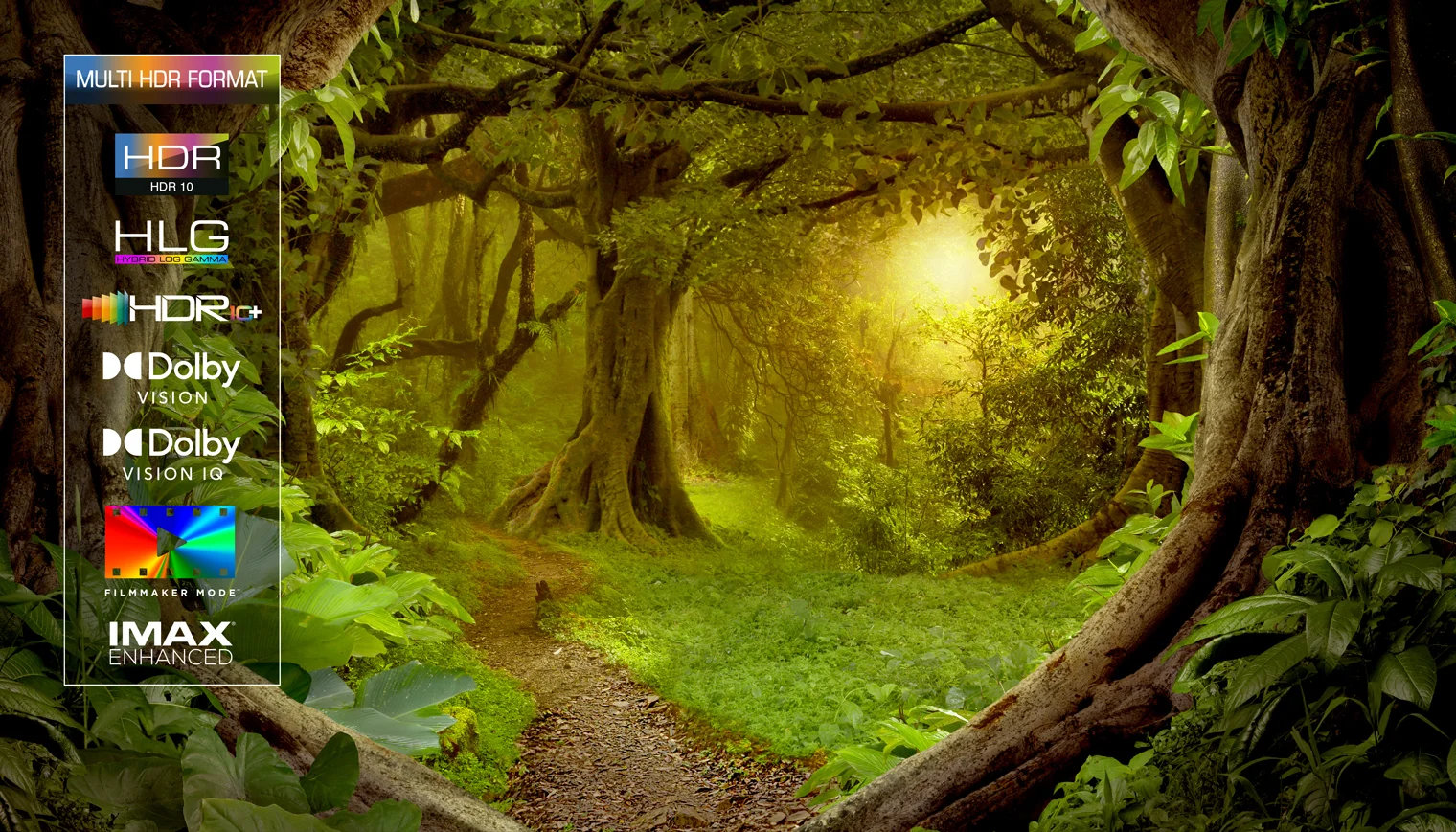 HDR MULTIFORMAT