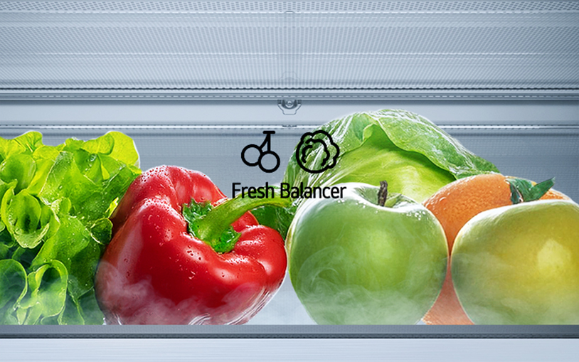 FRESHBalancer